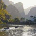 Ninh Binh: A Detailed Travel Guide to Vietnam’s Hidden Gem