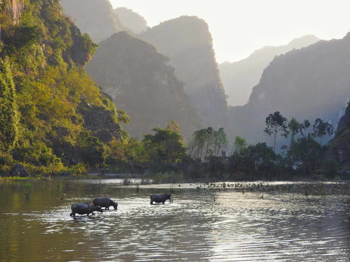 Ninh Binh: A Detailed Travel Guide to Vietnam’s Hidden Gem